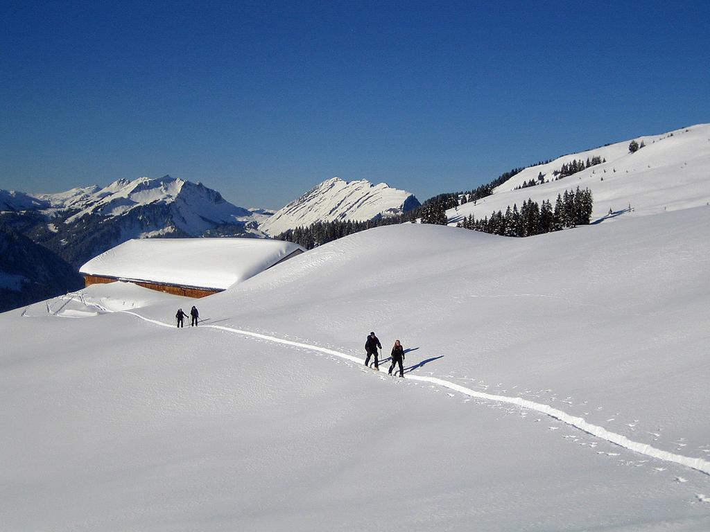 Caroline'S Appartement Au (Vorarlberg) Kültér fotó